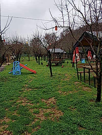İstanbul Atv Arena