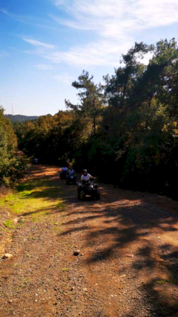 İstanbul Atv Arena