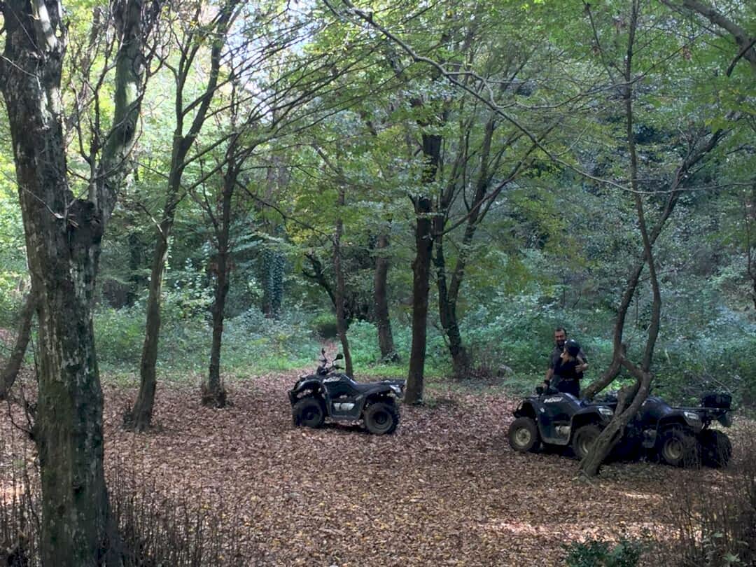 İstanbul Atv Arena