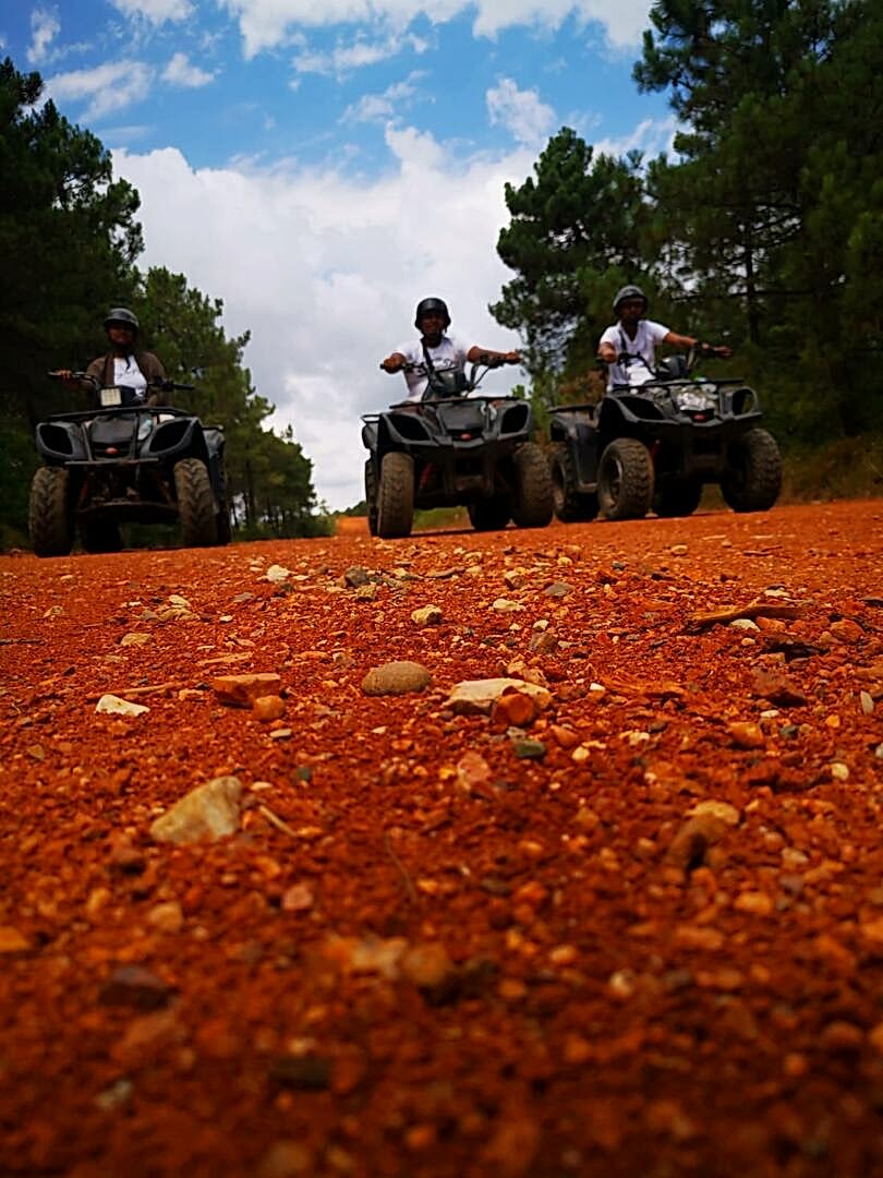 İstanbul Atv Arena