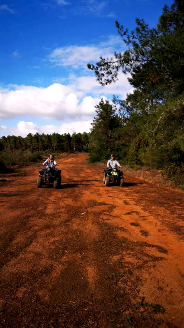 İstanbul Atv Arena
