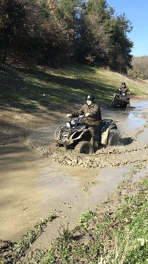 İstanbul Atv Arena