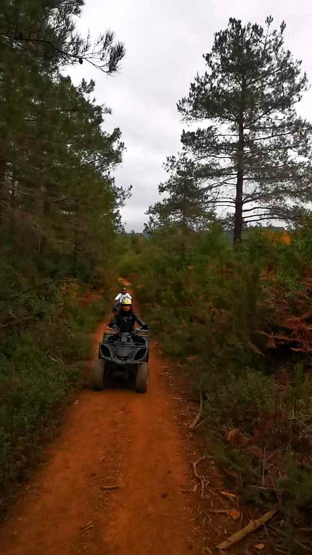 İstanbul Atv Arena