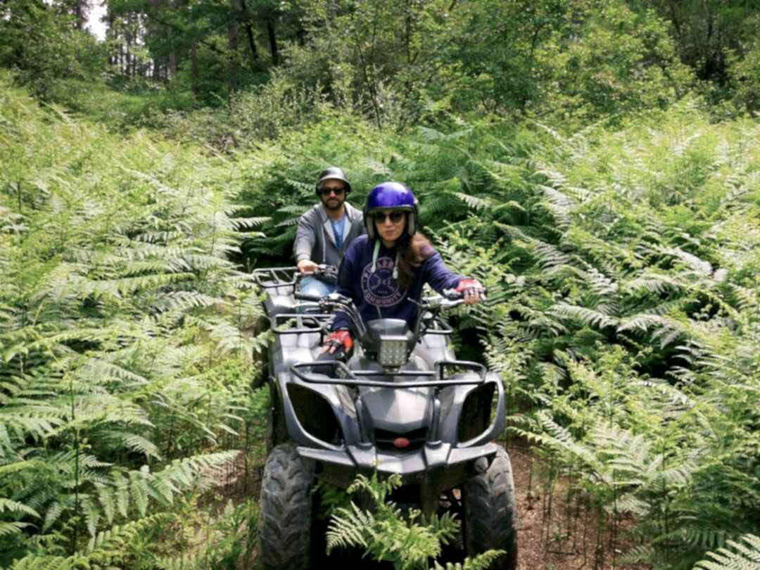 İstanbul Atv Arena