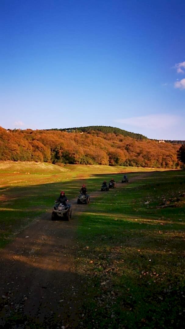 İstanbul Atv Arena