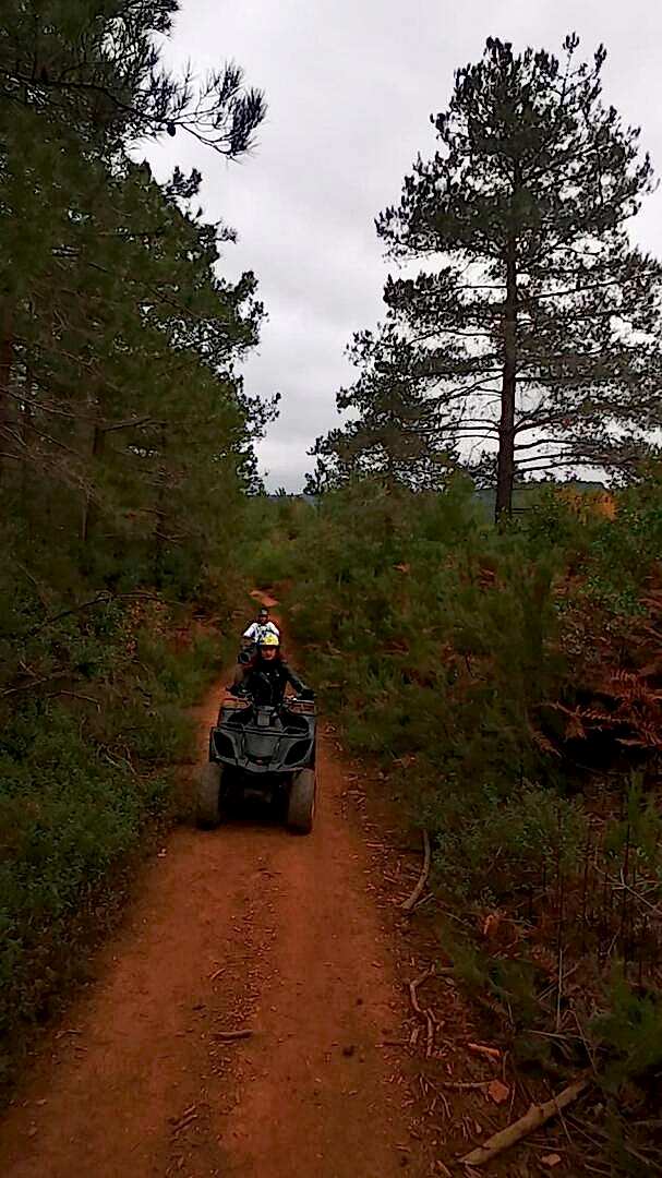 İstanbul Atv Arena