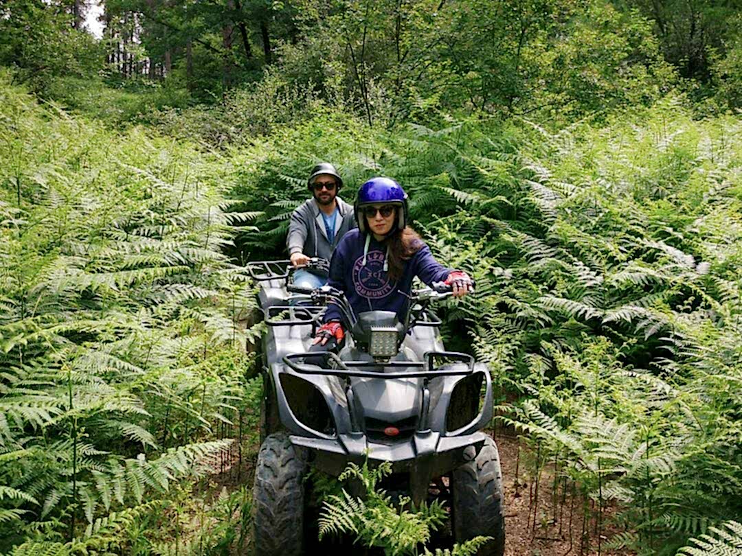 İstanbul Atv Arena
