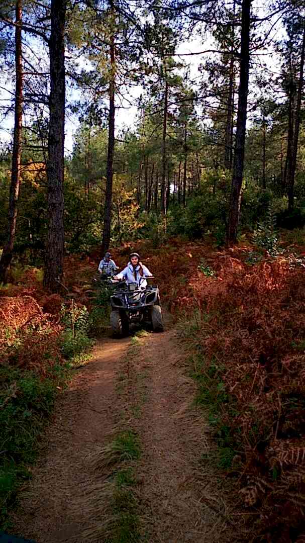 İstanbul Atv Arena